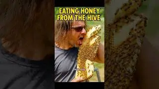 Big Pharma Won&rsquo;t Like This: Why Honey Works!