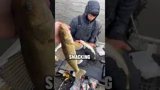DELICIOUS Catch and Cook WALLEYE Edition!