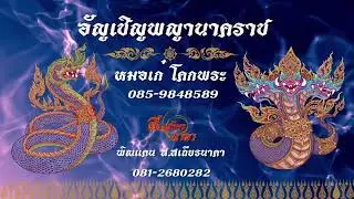 เชิญพญานาคราช หมอเก๋ โคกพระ #บวงสรวง #พญานาค พิณแคน ส.เสถียรนาคา