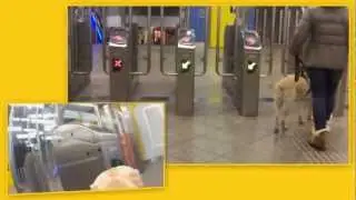 Videoblog 5 - OV poortjes