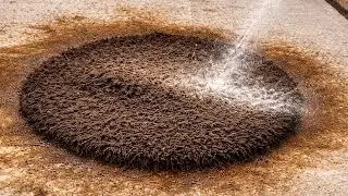 Extremely Dirty Rug Cleaning ASMR | Satisfying Shaggy Transformation