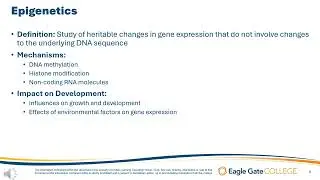 Impact of Genetics, Genomics, and Epigenetics on Growth and Development