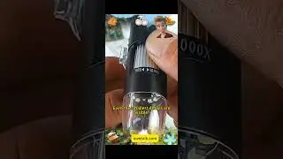 Plug‑in 50&ndash;1000x HD Electronic Microscope