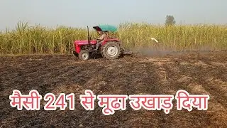 Massey 241 Round shape performance 