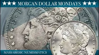 1892-S and 1892-CC MORGANS - GRADE COMPARISON - MORGAN DOLLAR MONDAYS with MASSABESIC NUMISMATICS