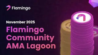 Flamingo Finance Community Lagoon Event, November 25, 2025