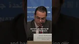 ООН сообщает, что 280 000 сирийцев были перемещены из-за возобновившихся боевых действий