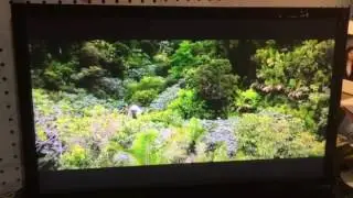 Snuke demo