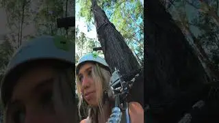 Crazy zip line tree house though a 30m Forrest
