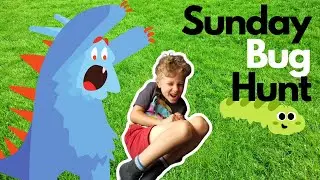 Sunday bug hunt