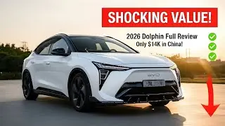 2026 BYD Dolphin Full Review: Why This $14K EV is Killing the Competition