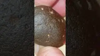 Carbonaceous Chondrite Meteorite
