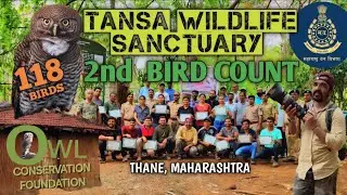 TANSA WILDLIFE SANCTUARY: BIRD COUNT 🦉 | तानसा अभयारण्य 🌳 ठाणे | #BirdCount #Wildlife #India #Nature