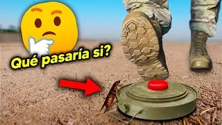 33 Datos incógnitos qué NO sabías hace 10 min 😱🧠 [23]
