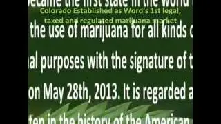 Low Cannabis Doses can stop the progress of Brain Damage