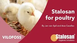 WEBINAR: The impact of litter quality and ammonia formation on poultry production