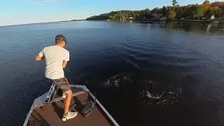 Top Water ORMF