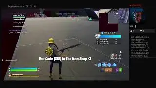 PS4-Live-&Uuml;bertragung Fortnite