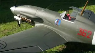Reggiane 2005 Cymodel