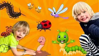 The Super Fun Bug Hunt Adventure! Animal Stories with Sky and Finn
