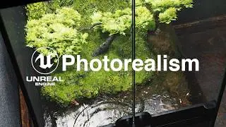 Rain Gardens in UNREAL ENGINE 5 | Forest in a Bottle [4K]