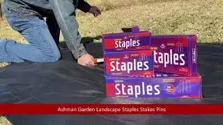 Ashman 6 Inch Landscape Staples  for weed barrier fabric, ground cover and Fence Stake. @MI gardener