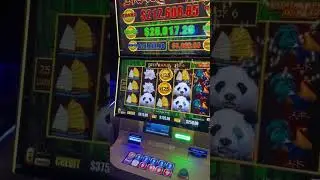 $125 / SPIN - SLOTS #slots #slotwins #slotmachine #casino #jackpot #atlanticcity #vegas