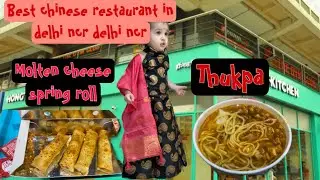 Best Chinese food in delhi and delhi ncr || hong kitchen review || molten chesse spring roll review