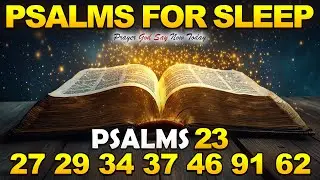Best Deep Sleep Psalms | Psalm 23, 27, 29, 34, 37, 46, 91, 62 | Fall Asleep in God's Word