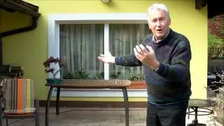 INTERNATIONAL BONSAI ACADEMY with Walter Pall by SandevBonsai - Plato's Cave Analogy