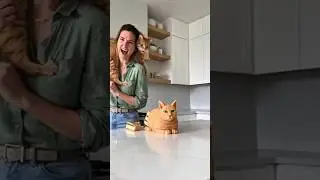 &ldquo;Cat vs Cake: Real Cat&rsquo;s Hilarious Revenge!&rdquo; #funnyshorts #shorts
