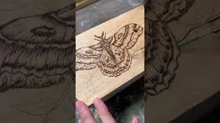 This is your sign to try woodburning! #woodburner #upcycling #upcycled