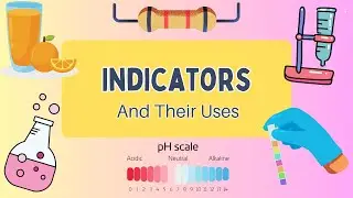 Indicators Explained: Litmus, Phenolphthalein, Methyl Orange & DIY pH Tests!