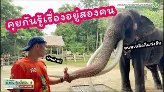ตามติดชีวิต #พลายศักดิ์สุรินทร์ 15 ตุลาคม 2567 ในวันที่แอดมินหลายคนพร้อมใจกันลา เหลือแต่แอดจุ้ย