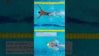Highlights captured from underwater and overhead cameras | Sony x World Aquatic