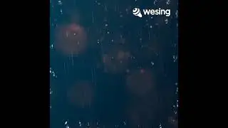 Feel(Radio Edit)