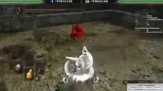 [Dark Souls 2] Masterless Glencour vs Alonne Captain - NPC Fightclub (Stream Highlight)