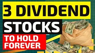 Dividend Stocks Portfolio - 3 BEST Oil&Gas DIVIDEND Stocks To Buy And Hold Forever
