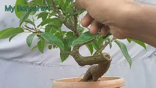 Monsoon maintenance