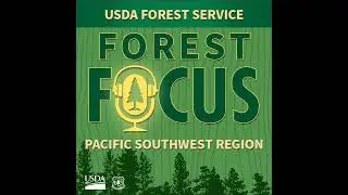 Forest Focus Podcast &mdash; Episode 26: Chinese Heritage Sites on California National Forests