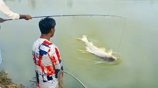 ৪৫,০০০ টাকার টিকিটে বাজিমাত! কাতলা আর দুই রুই একসাথে 🐟🔥