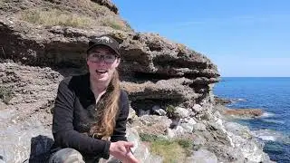 Fossilized Seafloor 150,000 years old!! Torbay Geopark - Fossil Friday