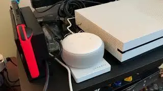 Alexa, what are furries?