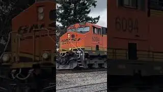BNSF ES44AC + ES44C4 + ET44C4 Mixed freight (horn show p4)