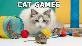 CAT GAMES | Mouse Sounds for Cats to Watch--Fast Mice Playing With Cat Toys 🐭 Video for Cats