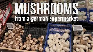 Cooking Supermarket Mushrooms 🍄 German Food from Rewe
