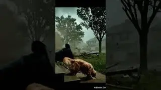 Helpless Dog Tries to Survive Deadly Storm 🌪️  AI Disaster Zone