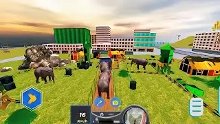 Elephant Transport l Elephant Video