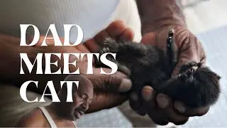 nigerian parents meet black kitten (the stigma is real)