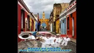 BANDA DE VIENTO LOS TIGRES DE PAHUATLAN